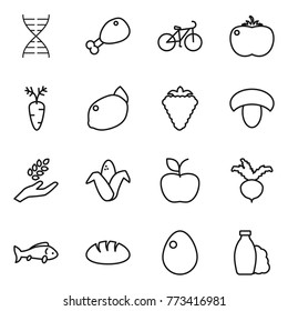 Thin line icon set : dna, chicken leg, bike, tomato, carrot, lemon, berry, mushroom, harvest, corn, apple, beet, fish, bread, egg, shampoo