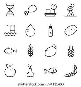Thin line icon set : dna, chicken leg, warehouse scales, tourist, pool, drop, vegetable oil, potato, fish, spikelets, lemon, apple, pear, peas