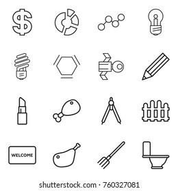 Thin line icon set : dollar, circle diagram, graph, bulb, hex molecule, satellite, pencil, lipstick, chicken leg, drawing compasses, fence, welcome mat, fork, toilet
