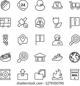 Thin Line Icon Set - earth vector, important flag, satellite, 24 hours, support, client, mobile tracking, sea shipping, consolidated cargo, folder document, no hook, tulip, warehouse, package, heavy