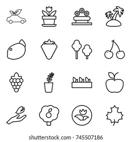 thin line icon set : eco car, flower, bed, island, lemon, berry, trees, cherry, grape, seedling, apple, hand leaf, garden, ecology, maple