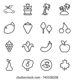 thin line icon set : eco car, flower, palm, island, lemon, berry, trees, cherry, grape, corn, eggplant, apple, pear, garden, ecology, maple leaf