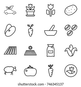 thin line icon set : eco car, flower, perishable, potato, beans, carrot, mortar, coffee seeds, field, flour, corn, sheep, tomato, ecology