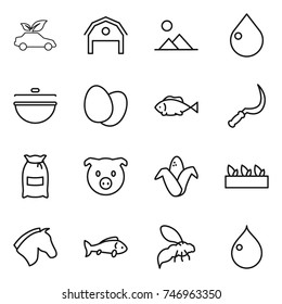 thin line icon set : eco car, barn, landscape, drop, cauldron, eggs, fish, sickle, flour, pig, corn, seedling, horse, wasp