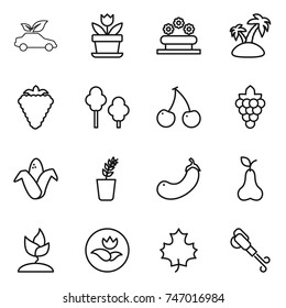 thin line icon set : eco car, flower, bed, island, berry, trees, cherry, grape, corn, seedling, eggplant, pear, sprouting, ecology, maple leaf, blower