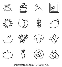 thin line icon set : eco car, flower, landscape, in window, gas oven, eggs, spikelets, lemon, mortar, coffee seeds, mushroom, corn, pumpkin, carrot, ecology, recycling