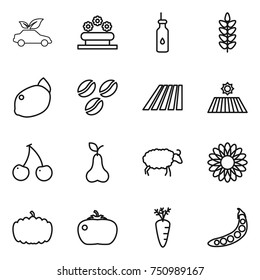 thin line icon set : eco car, flower bed, vegetable oil, spikelets, lemon, coffee seeds, field, cherry, pear, sheep, pumpkin, tomato, carrot, peas