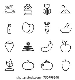 thin line icon set : eco car, flower, perishable, landscape, vegetable oil, eggs, carrot, mortar, berry, field, eggplant, apple, sprouting, pumpkin, tomato, acorn
