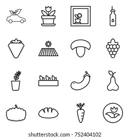 thin line icon set : eco car, flower, in window, vegetable oil, berry, field, mushroom, grape, seedling, eggplant, pear, pumpkin, bread, carrot, ecology thin line icon set : eco car, flower, in window, vegetable oil, berry, field, mushroom, grape, seedling, eggplant, pear, pumpkin, bread, carrot, ecology