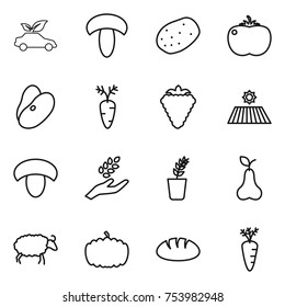thin line icon set : eco car, mushroom, potato, tomato, beans, carrot, berry, field, harvest, seedling, pear, sheep, pumpkin, bread