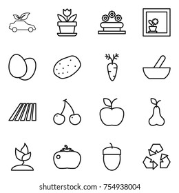 thin line icon set : eco car, flower, bed, in window, eggs, potato, carrot, mortar, field, cherry, apple, pear, sprouting, tomato, acorn, recycling