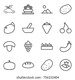 Thin line icon set : eco car, flower bed, landscape, potato, lemon, mortar, berry, cherry, mushroom, grape, seedling, eggplant, pumpkin, bread, ecology