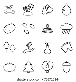 Thin line icon set : eco car, island, flippers, drop, potato, seeds, field, rain cloud, trees, harvest, pear, horse, pumpkin, spruce, garden, acorn