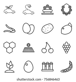 Thin line icon set : eco car, electric, flower bed, hawaiian wreath, walnut crack, eggs, potato, lemon, honeycombs, field, cherry, grape, sprouting, egg, grain elevator, peas