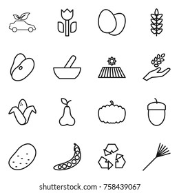 Thin line icon set : eco car, perishable, eggs, spikelets, beans, mortar, field, harvest, corn, pear, pumpkin, acorn, potato, peas, recycling, rake