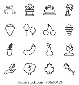 Thin line icon set : eco car, flower, bed, palm, berry, trees, cherry, grape, seedling, eggplant, pear, sprouting, hand leaf, garden, maple, blower