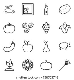 Thin line icon set : eco car, flower in window, vegetable oil, potato, tomato, coffee seeds, grape, corn, eggplant, apple, pear, sheep, sprouting, pumpkin, rake