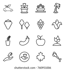 Thin line icon set : eco car, flower, bed, palm, berry, trees, grape, corn, seedling, eggplant, apple, sprouting, hand leaf, ecology, maple, blower