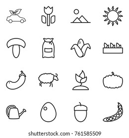 Thin line icon set : eco car, perishable, landscape, gas oven, mushroom, flour, corn, seedling, eggplant, sheep, sprouting, pumpkin, watering can, egg, acorn, peas