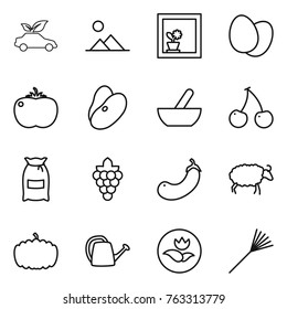 Thin line icon set : eco car, landscape, flower in window, eggs, tomato, beans, mortar, cherry, flour, grape, eggplant, sheep, pumpkin, watering can, ecology, rake