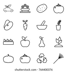 Thin line icon set : eco car, flower bed, potato, tomato, beans, carrot, mortar, seedling, apple, pear, sprouting, pumpkin, recycling, rake