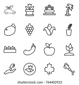 Thin line icon set : eco car, flower, bed, palm, lemon, grape, corn, seedling, eggplant, apple, sprouting, hand leaf, ecology, maple, blower