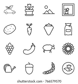 Thin line icon set : eco car, flower, landscape, in window, potato, carrot, berry, flour, grape, eggplant, sheep, watering can, acorn, peas, ecology