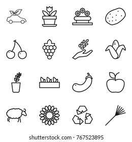Thin line icon set : eco car, flower, bed, potato, cherry, grape, harvest, corn, seedling, eggplant, apple, sheep, recycling, rake