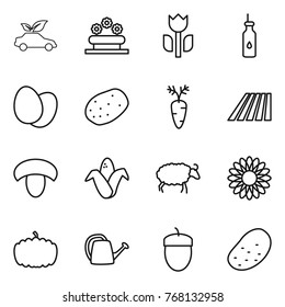 Thin line icon set : eco car, flower bed, perishable, vegetable oil, eggs, potato, carrot, field, mushroom, corn, sheep, pumpkin, watering can, acorn