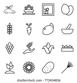 Thin line icon set : eco car, flower bed, in window, eggs, spikelets, carrot, lemon, mortar, grape, harvest, corn, seedling, sprouting, potato, rake