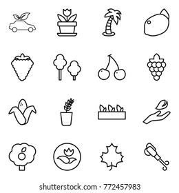 Thin line icon set : eco car, flower, palm, lemon, berry, trees, cherry, grape, corn, seedling, hand leaf, garden, ecology, maple, blower