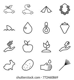 Thin line icon set : eco car, electric, tent, hawaiian wreath, shark flipper, drop, thermometer, berry, harvest, apple, sprouting, hand leaf, rabbit, potato, rake