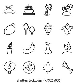 Thin line icon set : eco car, flower bed, palm, island, lemon, trees, grape, corn, seedling, eggplant, pear, sprouting, garden, ecology, maple leaf, blower