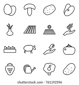 Thin line icon set : eggs, mushroom, potato, beans, onion, field, harvest, seedling, sheep, hand leaf, tomato, strawberry, watering can, garden