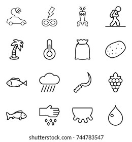 thin line icon set : electric car, infinity power, dna modify, tourist, palm, thermometer, flour, potato, fish, rain cloud, sickle, grape, sow, udder, drop