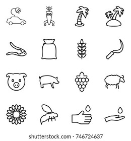 thin line icon set : electric car, dna modify, palm, island, walnut crack, flour, spikelets, sickle, pig, grape, sheep, flower, wasp, hand drop, and