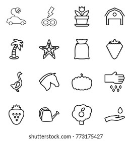 Thin line icon set : electric car, infinity power, flower, barn, palm, starfish, flour, berry, goose, horse, pumpkin, sow, strawberry, watering can, garden, hand and drop
