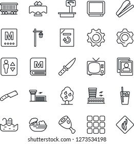 Thin Line Icon Set - elevator vector, tv, airport building, document reload, garden light, railroad, heavy scales, menu, settings, photo gallery, stapler, pool, fruit tree, restaurant table, salad