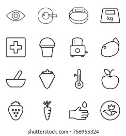 Thin line icon set : eye, cell corection, smart bracelet, heavy, first aid, bucket, toaster, lemon, mortar, berry, thermometer, apple, strawberry, carrot, hand drop, ecology