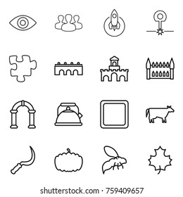 Thin line icon set : eye, group, rocket, laser, puzzle, bridge, fort, gothic architecture, arch, kettle, cutting board, cow, sickle, pumpkin, wasp, maple leaf