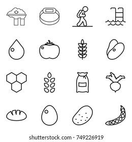 thin line icon set : factory filter, smart bracelet, tourist, pool, drop, tomato, spikelets, beans, honeycombs, flour, beet, bread, egg, potato, peas