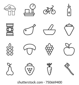 thin line icon set : factory filter, warehouse scales, bike, vegetable oil, pasta, chicken leg, mortar, berry, spikelets, mushroom, grape, apple, pear, strawberry, carrot, tooth brush