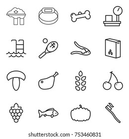 thin line icon set : factory filter, smart bracelet, bone, warehouse scales, pool, tennis, walnut crack, cereals, mushroom, chicken leg, spikelets, cherry, grape, fish, pumpkin, tooth brush