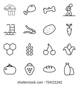 thin line icon set : factory filter, chicken leg, bone, tourist, pool, walnut crack, potato, carrot, honeycombs, spikelets, cherry, corn, tomato, strawberry, bread, shampoo