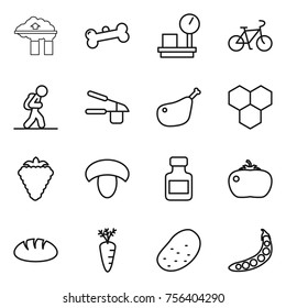 Thin line icon set : factory filter, bone, warehouse scales, bike, tourist, garlic clasp, chicken leg, honeycombs, berry, mushroom, pills bottle, tomato, bread, carrot, potato, peas