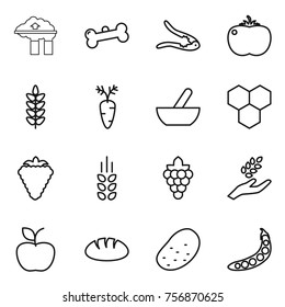 Thin line icon set : factory filter, bone, walnut crack, tomato, spikelets, carrot, mortar, honeycombs, berry, grape, harvest, apple, bread, potato, peas