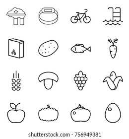 Thin line icon set : factory filter, smart bracelet, bike, pool, cereals, potato, fish, carrot, spikelets, mushroom, grape, corn, apple, pumpkin, tomato, egg