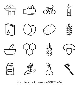 Thin line icon set : factory filter, acid, bike, vegetable oil, cereals, eggs, potato, spikelets, mortar, honeycombs, mushroom, flour, harvest, pear, tooth brush