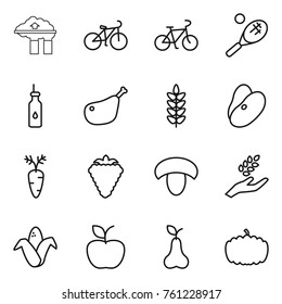 Thin line icon set : factory filter, bike, tennis, vegetable oil, chicken leg, spikelets, beans, carrot, berry, mushroom, harvest, corn, apple, pear, pumpkin