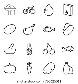 Thin line icon set : factory filter, bike, drop, cereals, potato, chicken leg, fish, beans, mortar, spikelets, cherry, pumpkin, carrot, shampoo